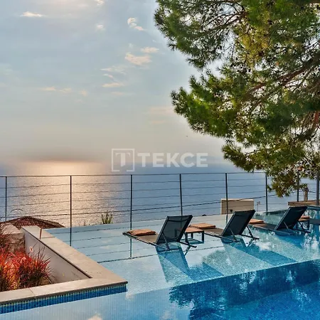 Tekce N131