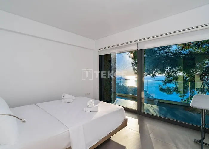 Tekce N131 * Faralya